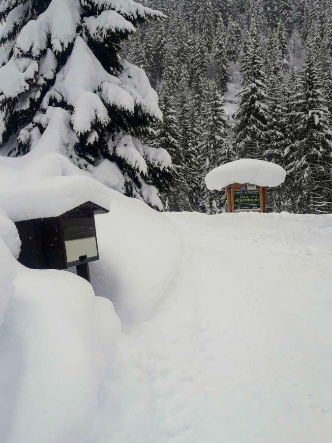 Haus Alpenheim Hotel Флахау Екстериор снимка